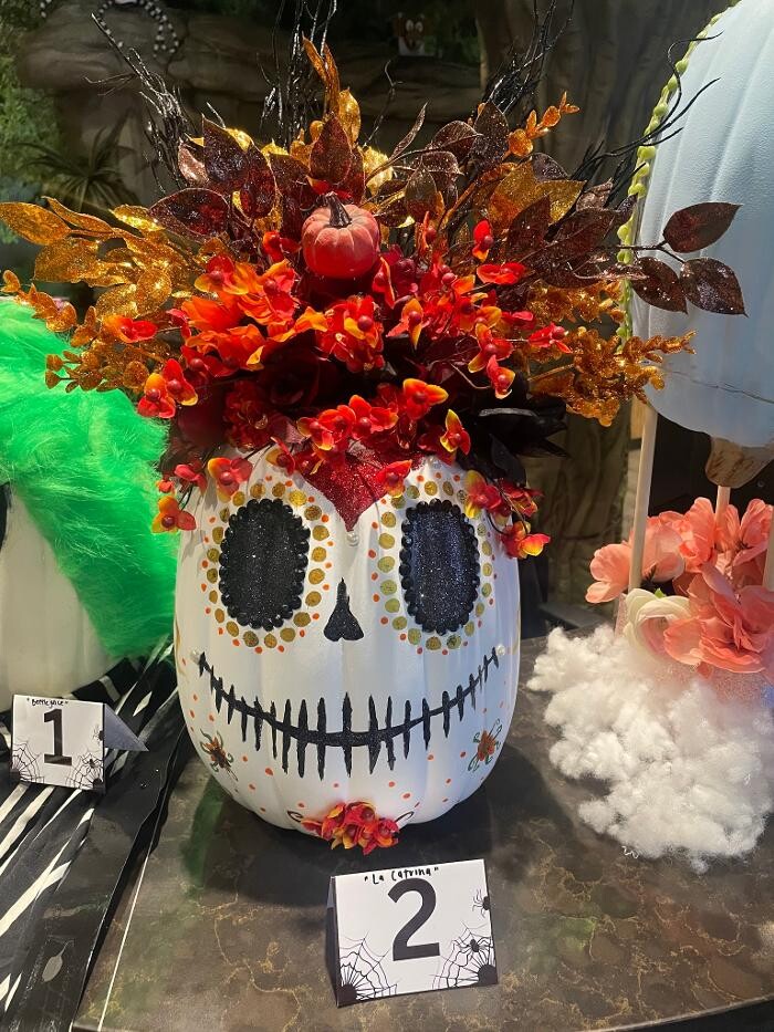 Images Jungle of Smiles Pediatric Dentistry