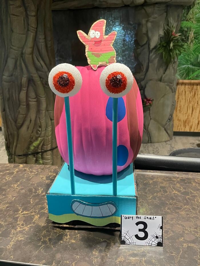 Images Jungle of Smiles Pediatric Dentistry