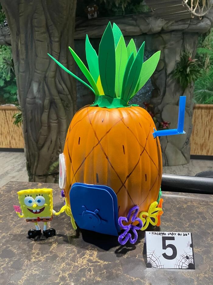 Images Jungle of Smiles Pediatric Dentistry