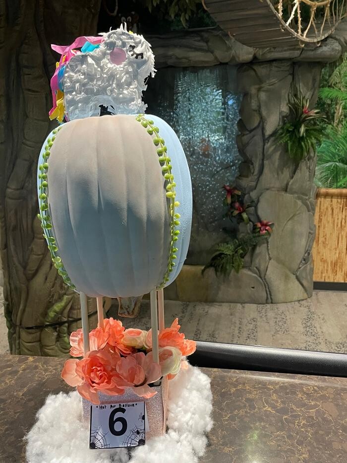 Images Jungle of Smiles Pediatric Dentistry