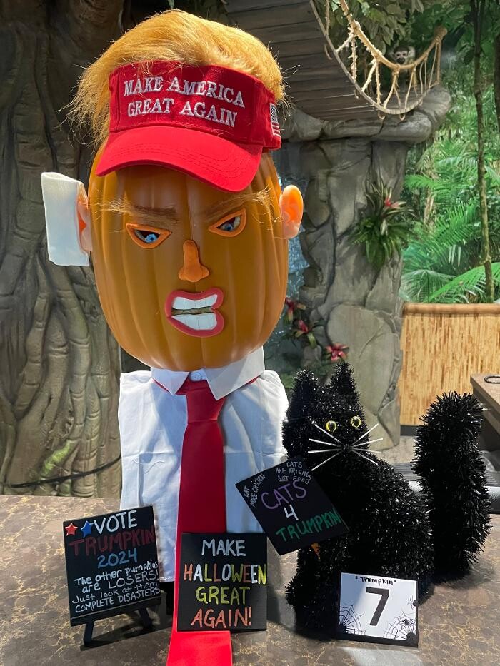 Images Jungle of Smiles Pediatric Dentistry