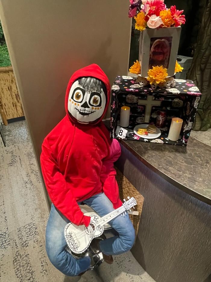 Images Jungle of Smiles Pediatric Dentistry