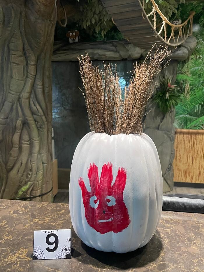 Images Jungle of Smiles Pediatric Dentistry