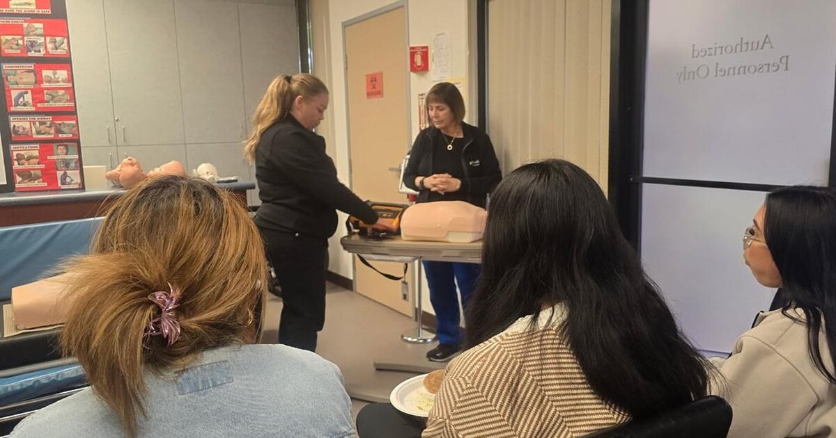 Images Jungle of Smiles Pediatric Dentistry