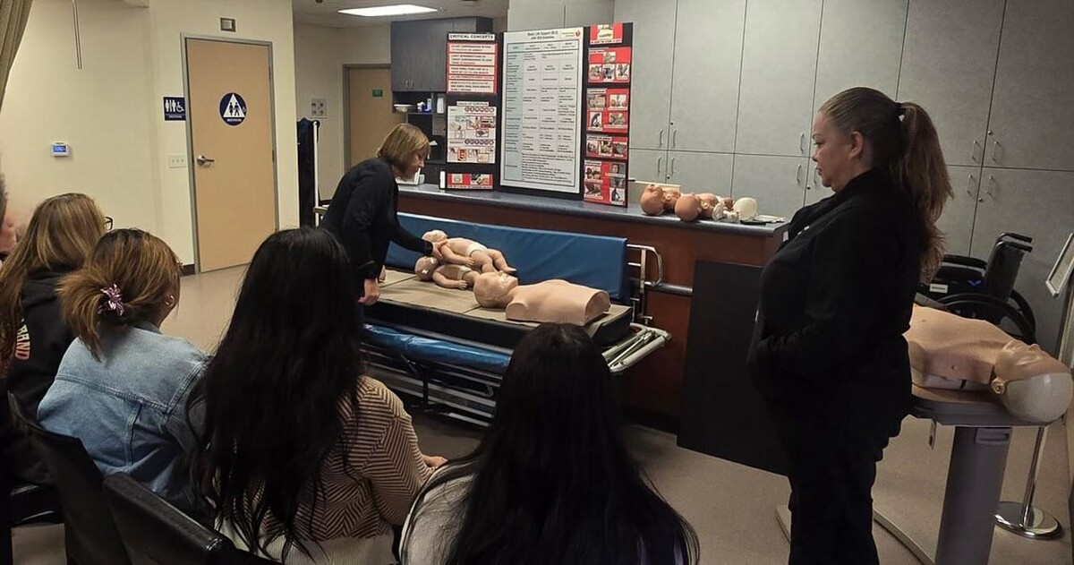 Images Jungle of Smiles Pediatric Dentistry