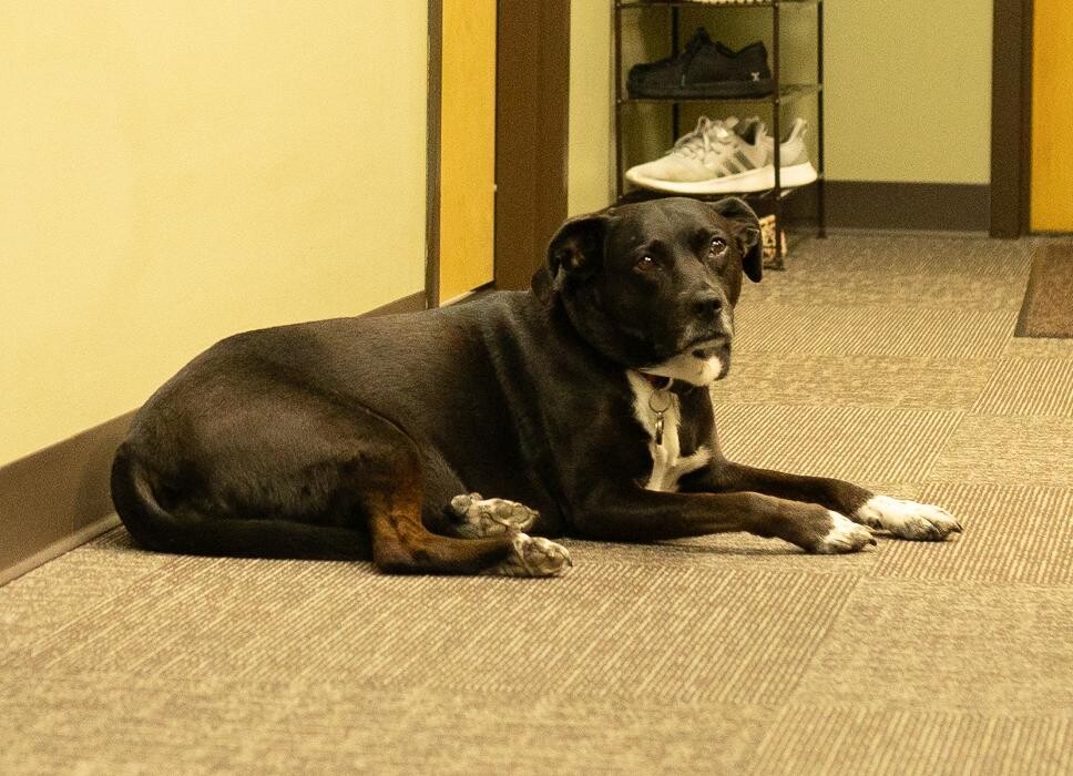 Images Hand In Health Massage Therapy