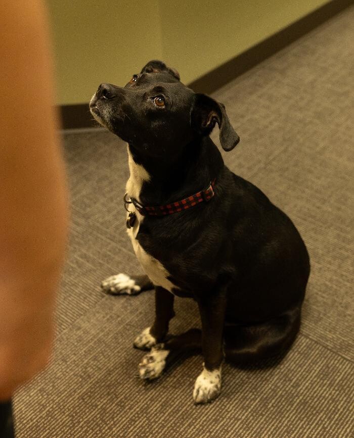 Images Hand In Health Massage Therapy