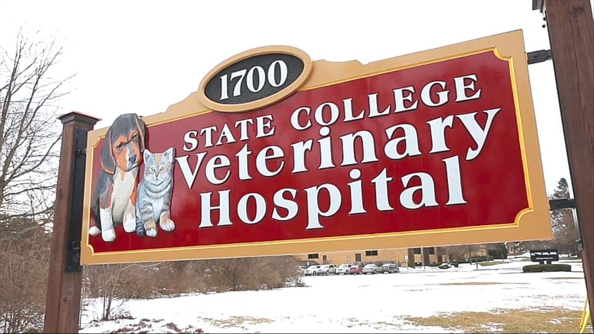 Images State College Veterinary Hospital