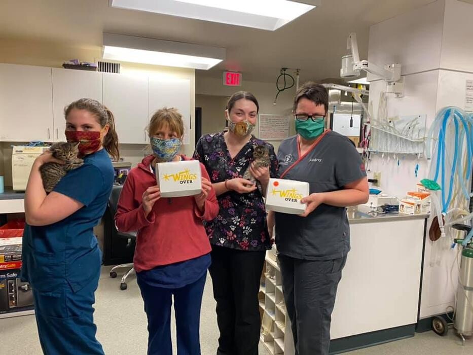 Images State College Veterinary Hospital