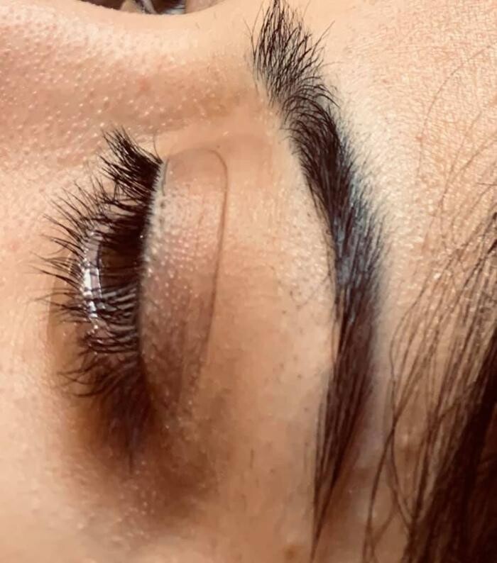 Images Rene Delyn Designs