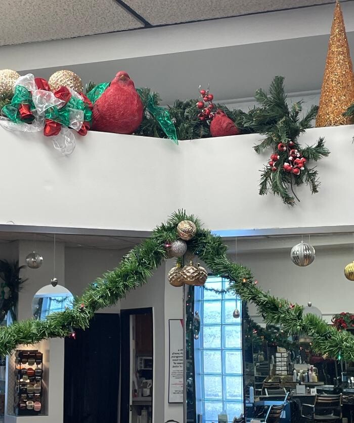 Images Rene Delyn Designs