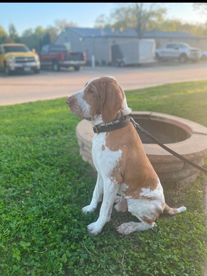 Images Maverick Pumping Service