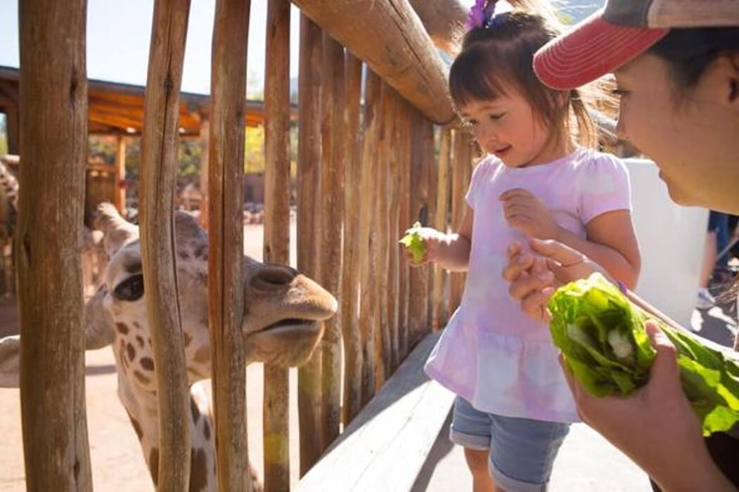 Images Pueblo Pediatric Therapy Center