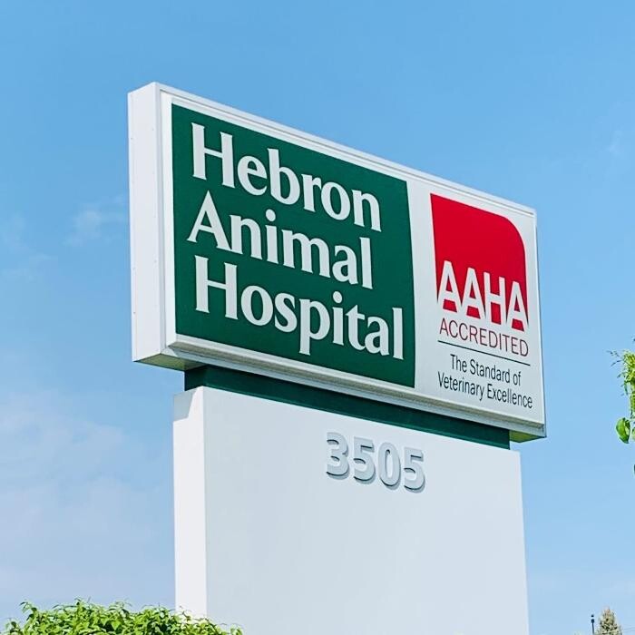 Images Hebron Animal Hospital