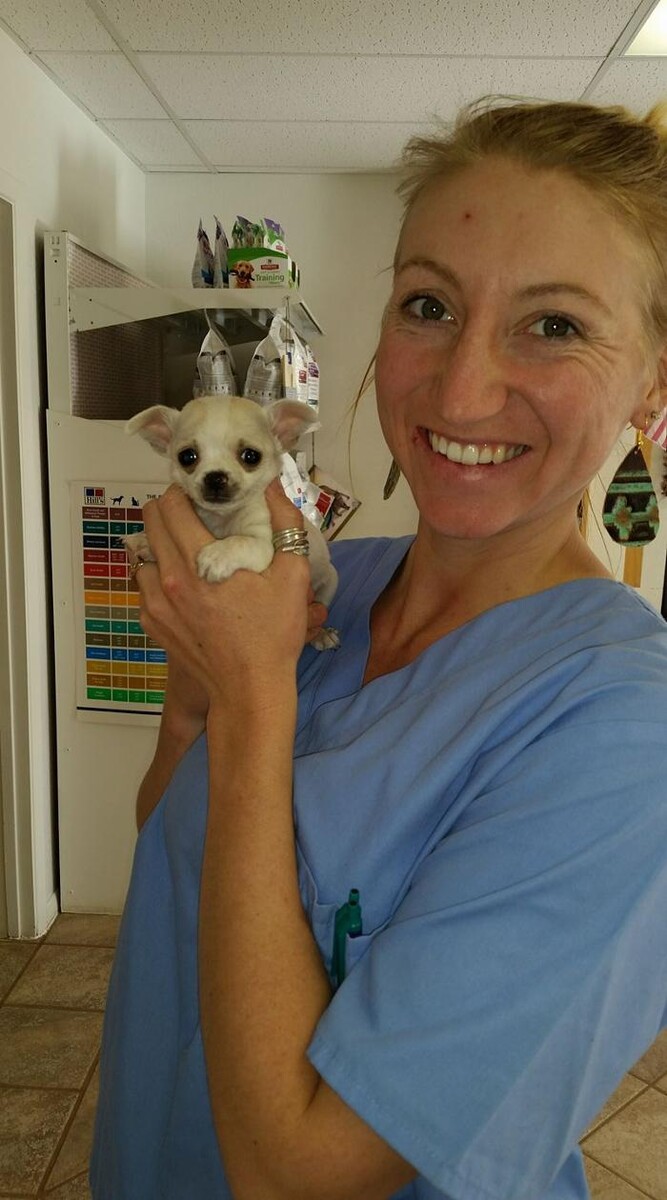 Images Town & Country Veterinary Clinic