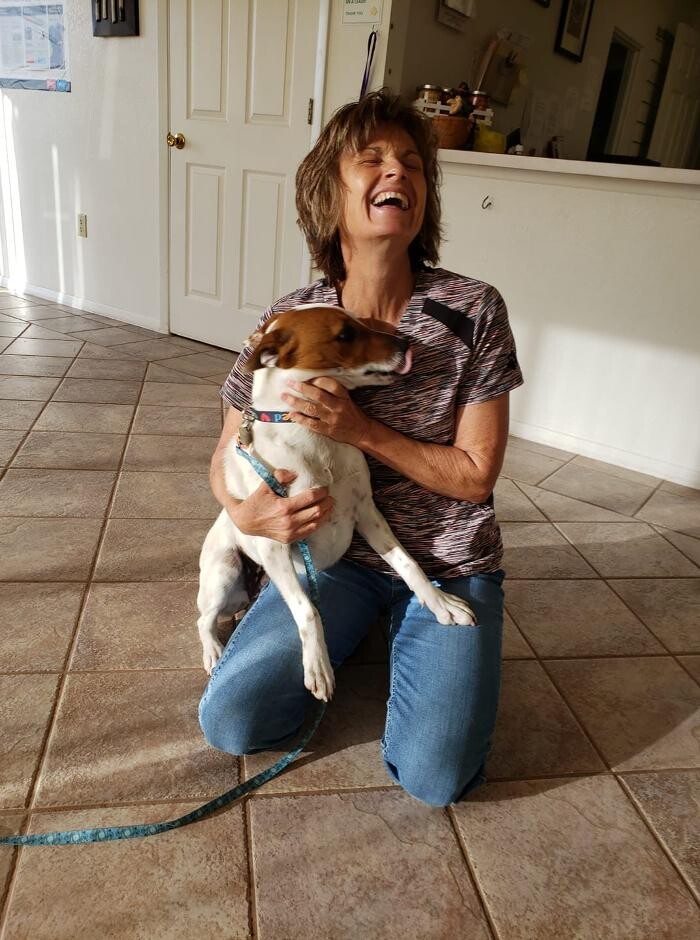 Images Town & Country Veterinary Clinic