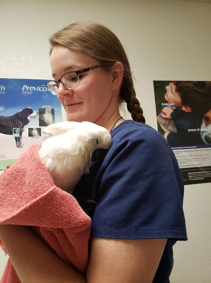 Images Town & Country Veterinary Clinic