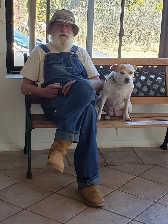 Images Town & Country Veterinary Clinic