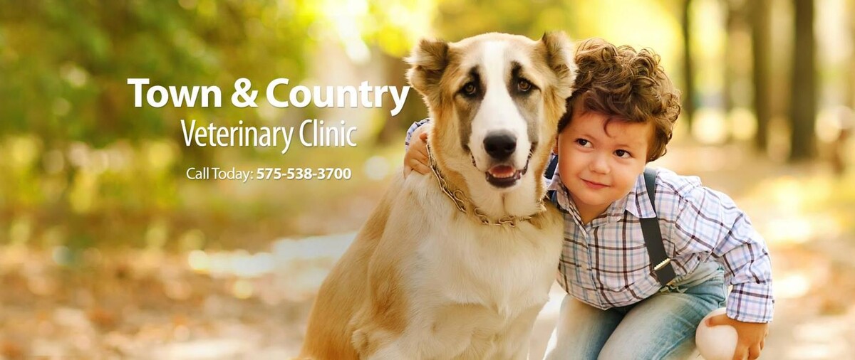 Images Town & Country Veterinary Clinic