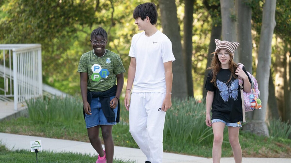 Images The Field School