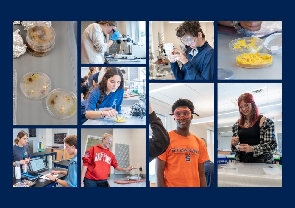 Images The Field School