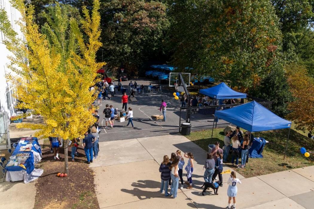 Images The Field School