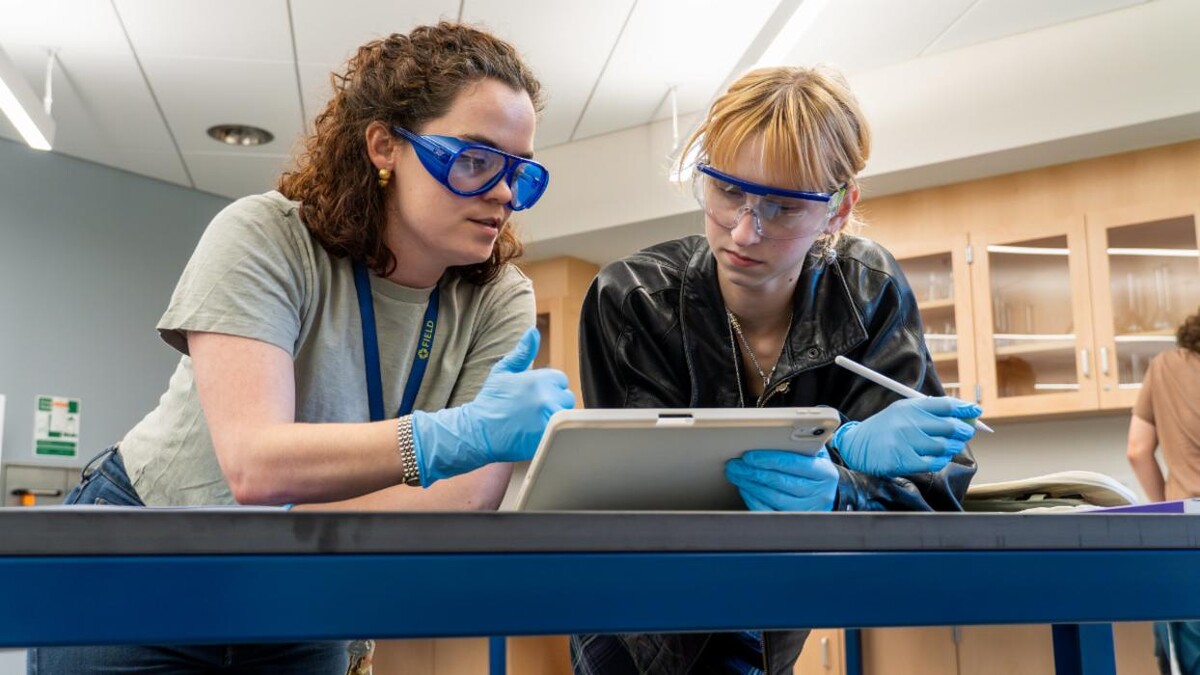 Images The Field School