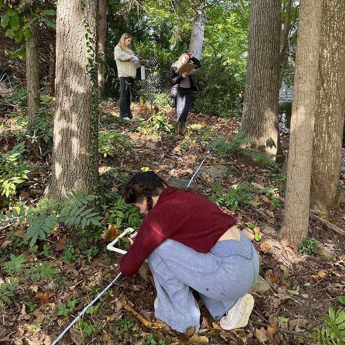 Images The Field School