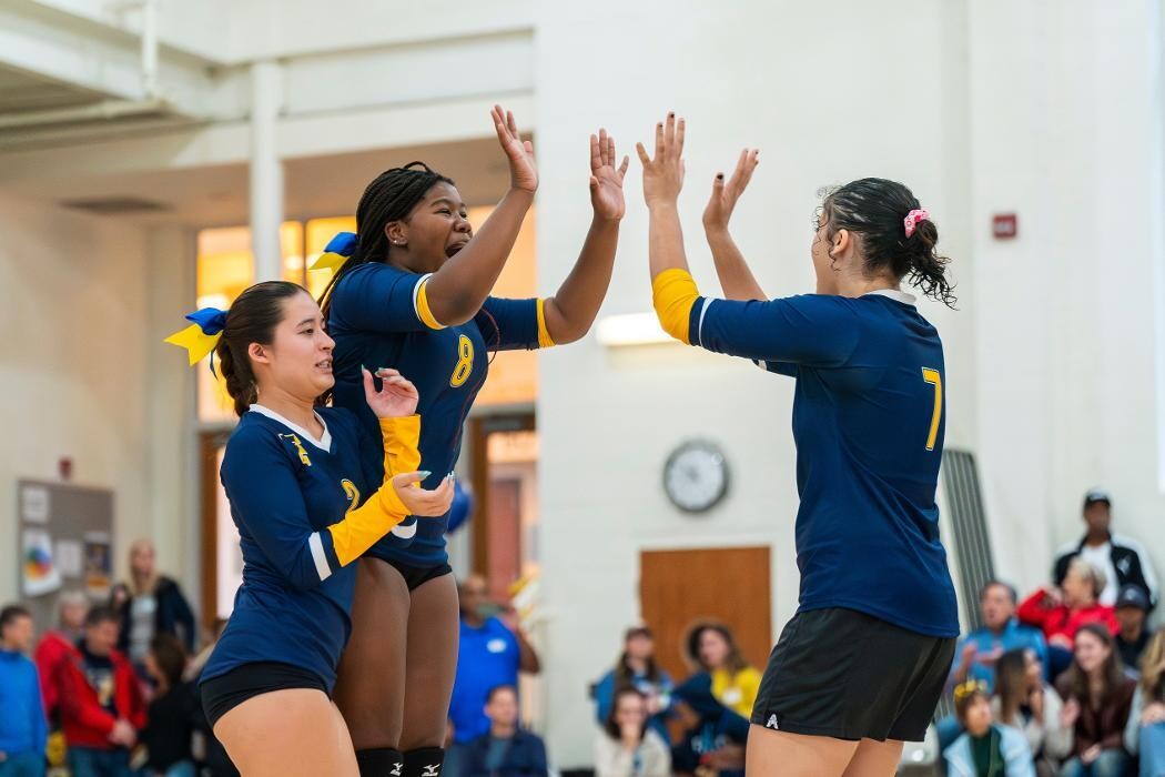 Images The Field School