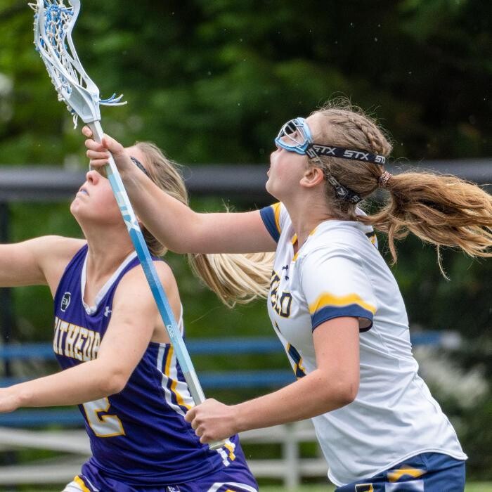 Images The Field School