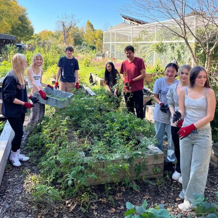 Images The Field School