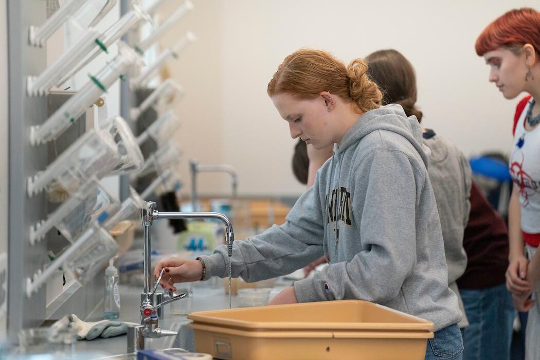 Images The Field School