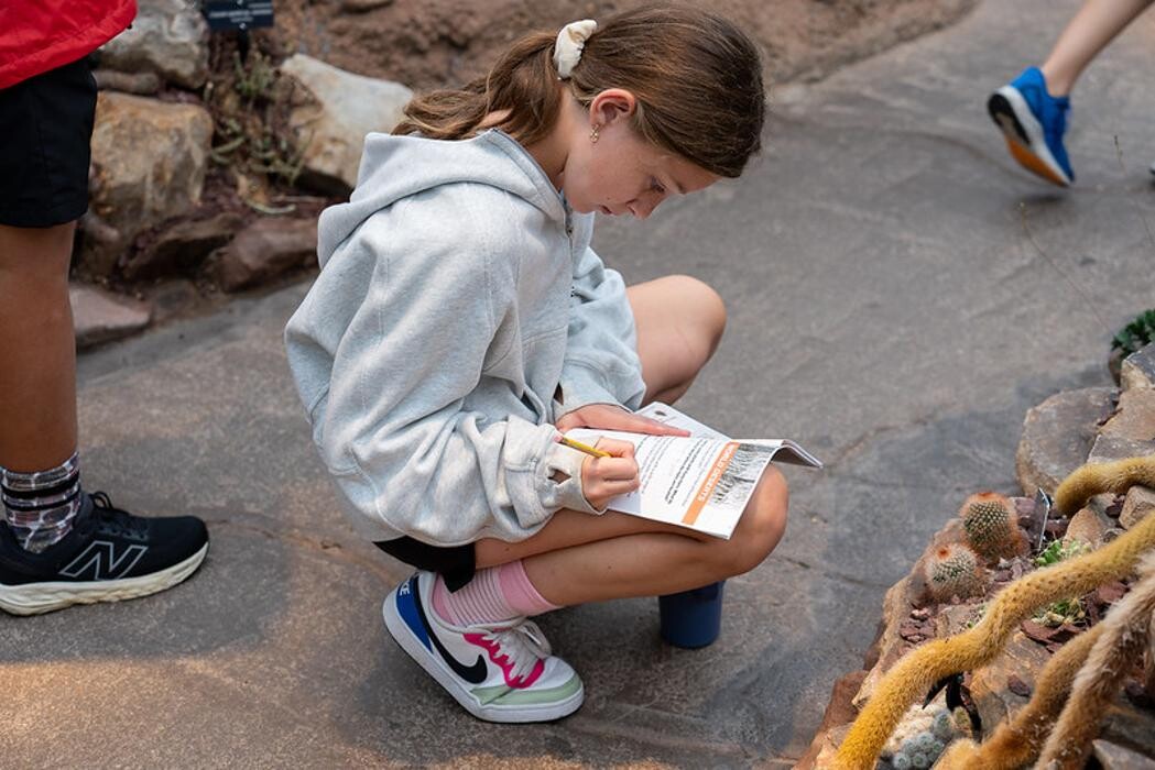 Images The Field School