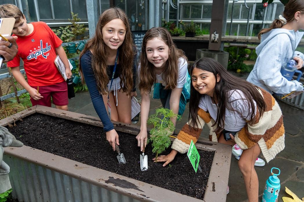 Images The Field School