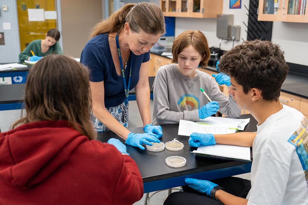 Images The Field School