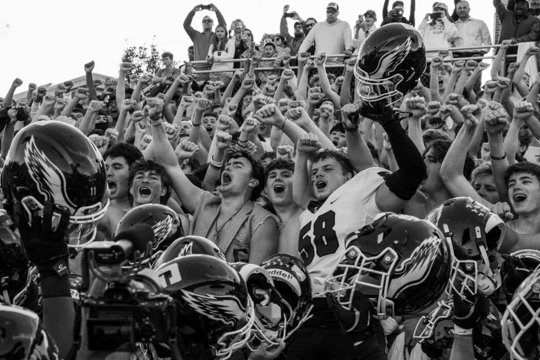 Images The Field School