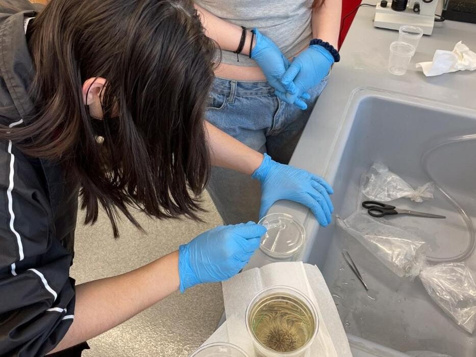 Images The Field School