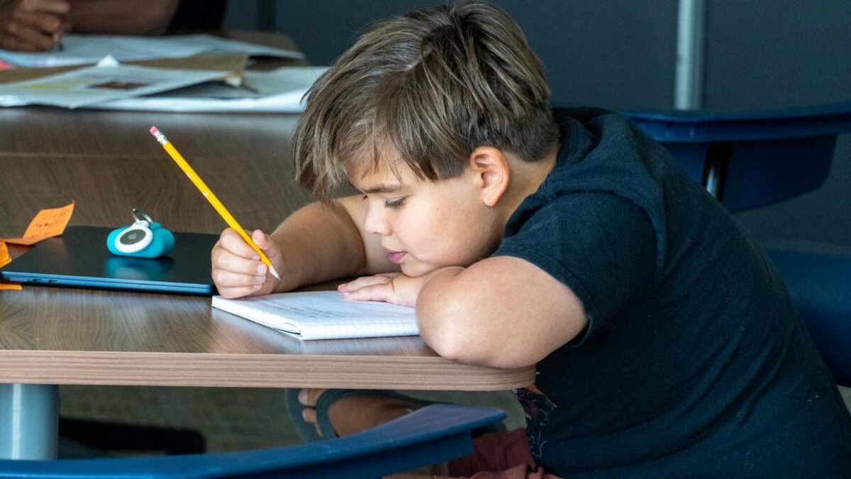 Images The Field School