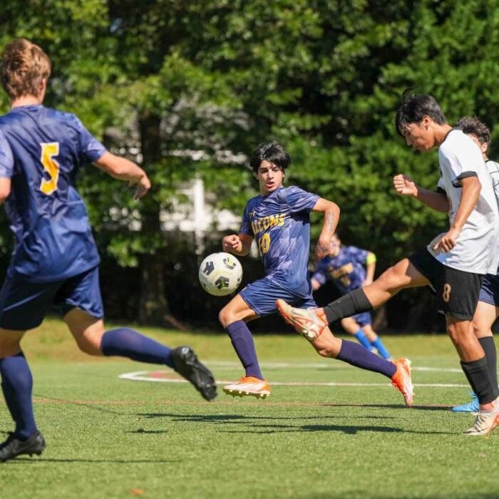 Images The Field School