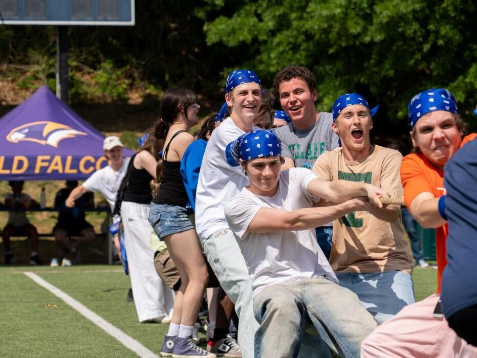 Images The Field School