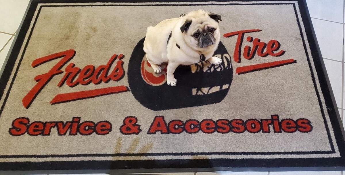 Images Fred's Tire & Service Co