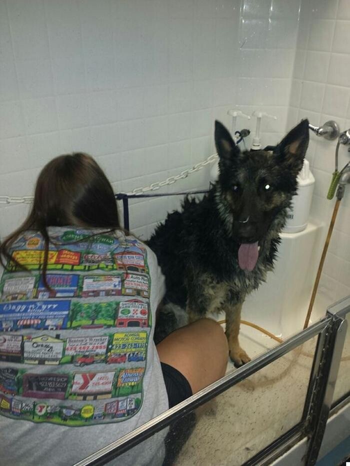 Images Wagg-n-Purr Retreat