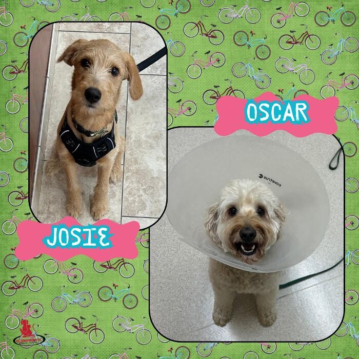 Images Oconomowoc Animal Hospital