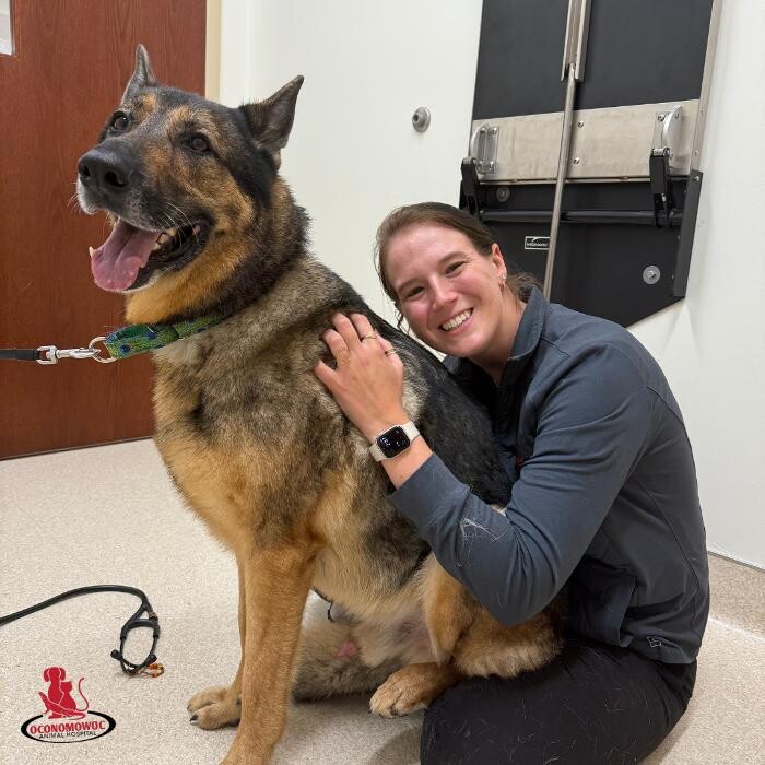 Images Oconomowoc Animal Hospital