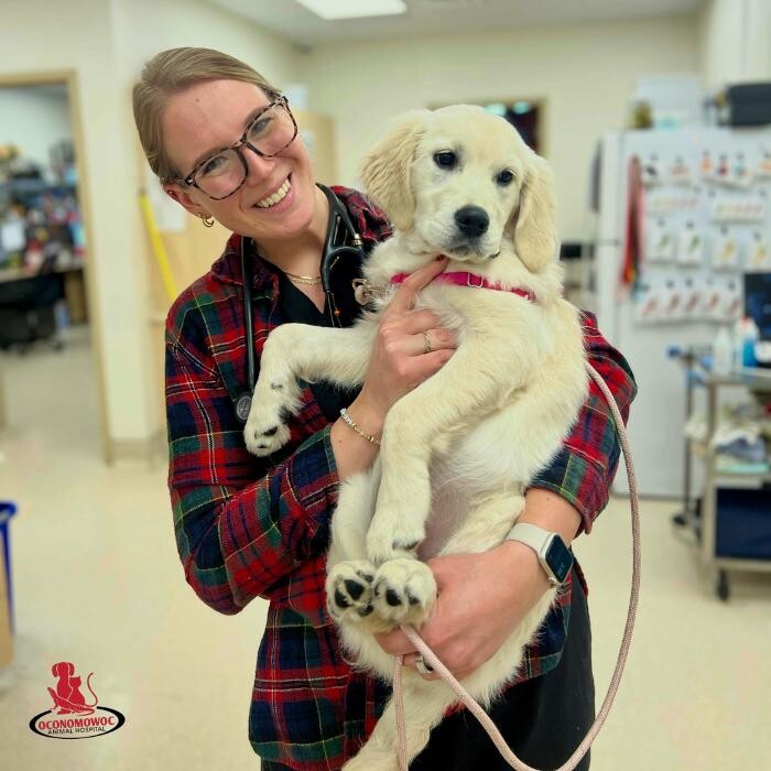 Images Oconomowoc Animal Hospital