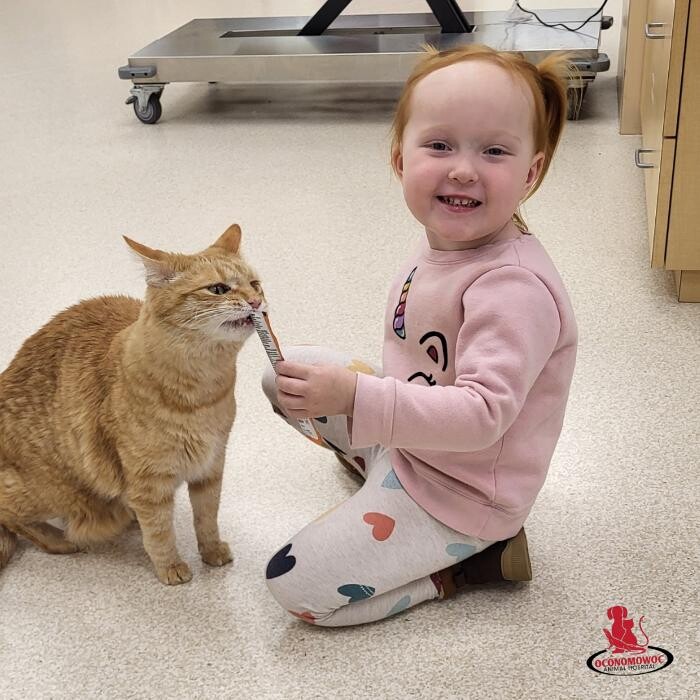 Images Oconomowoc Animal Hospital