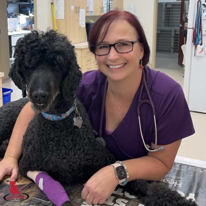Images Oconomowoc Animal Hospital