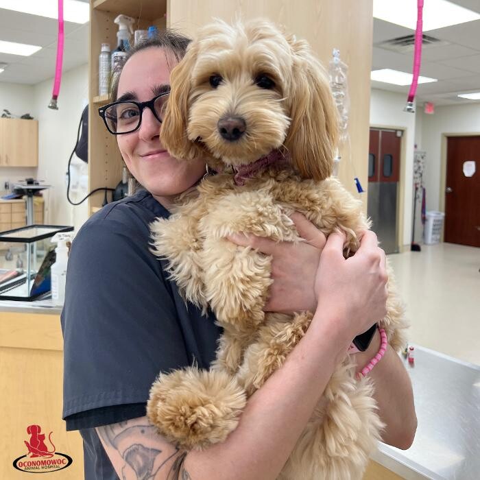 Images Oconomowoc Animal Hospital