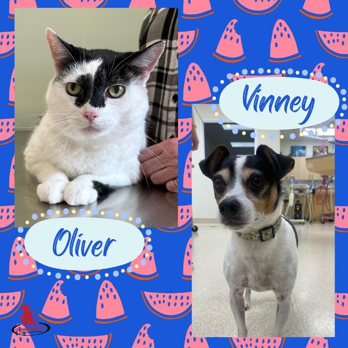 Images Oconomowoc Animal Hospital