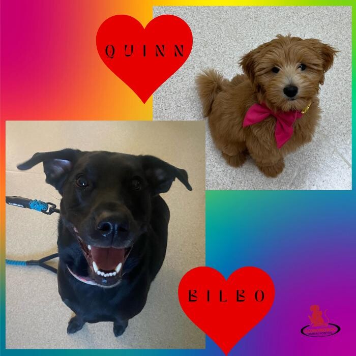 Images Oconomowoc Animal Hospital